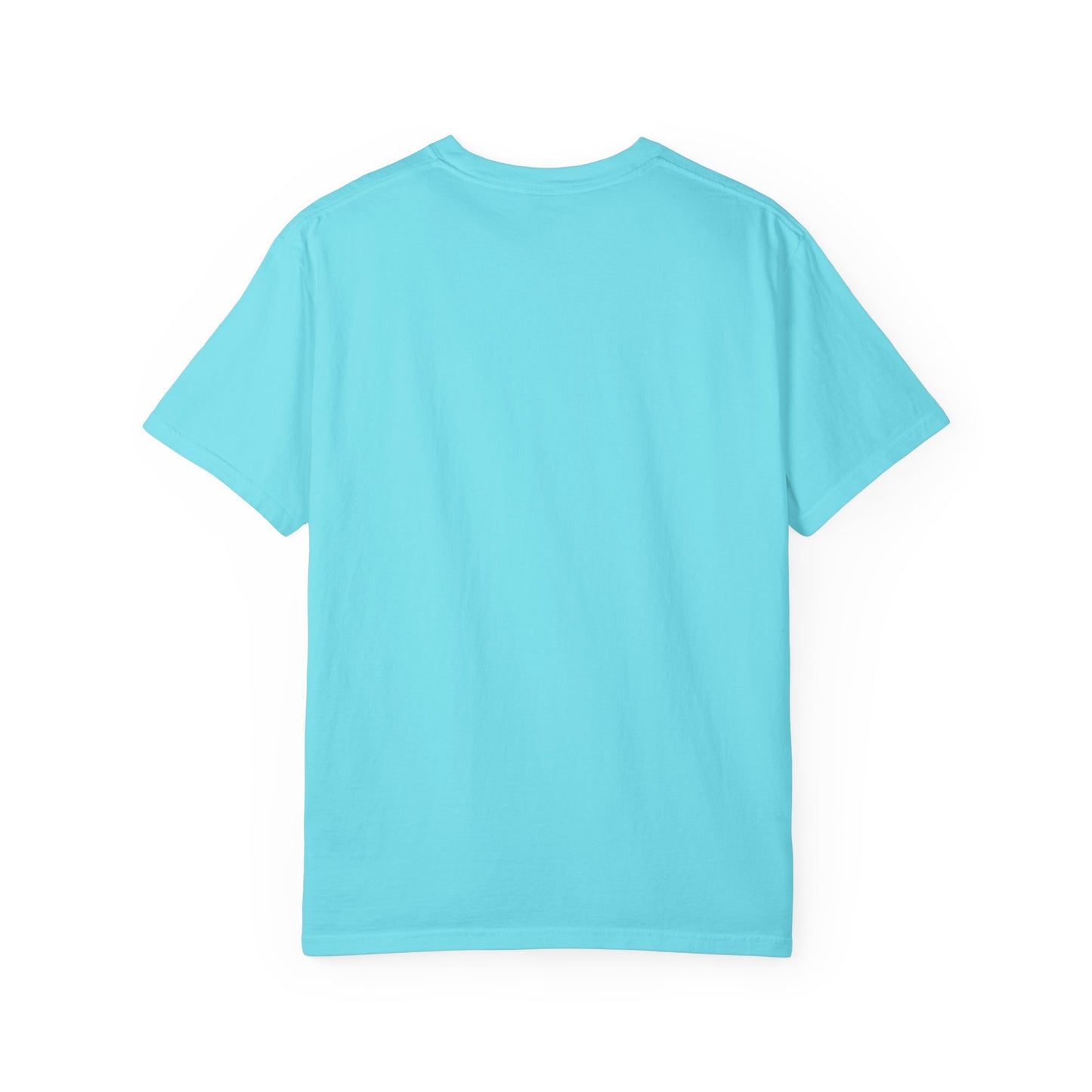"HBCU Pride" Unisex Garment-Dyed T-shirt with