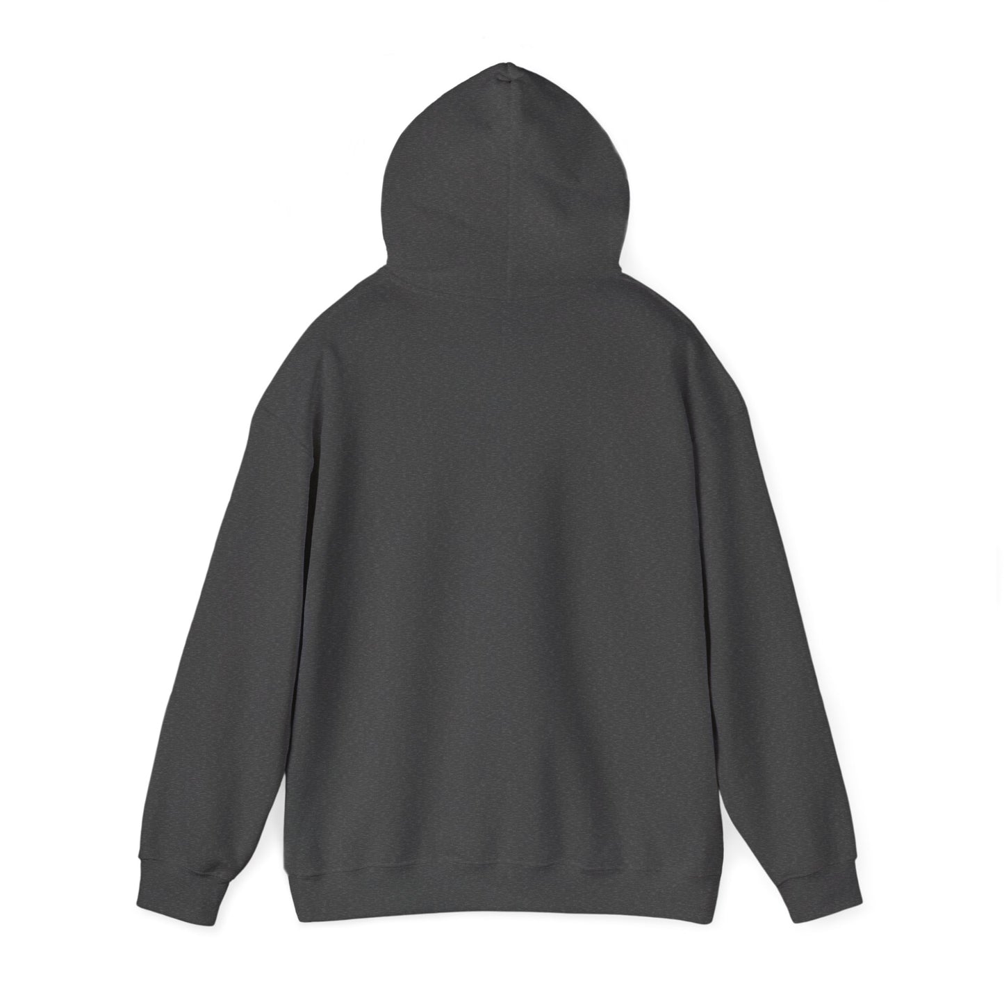 "Got Sticks?" Stlylish Unisex Hoodie