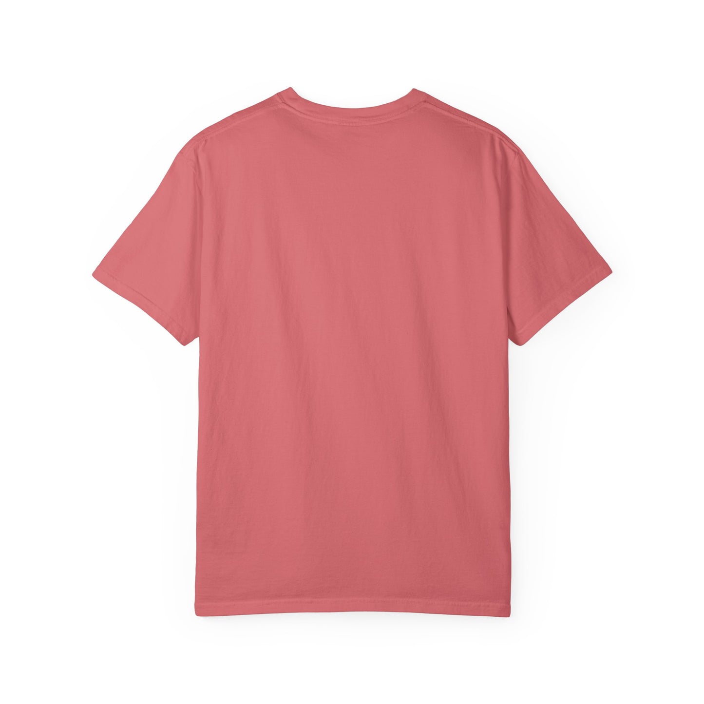 "HBCU Pride" Unisex Garment-Dyed T-shirt with