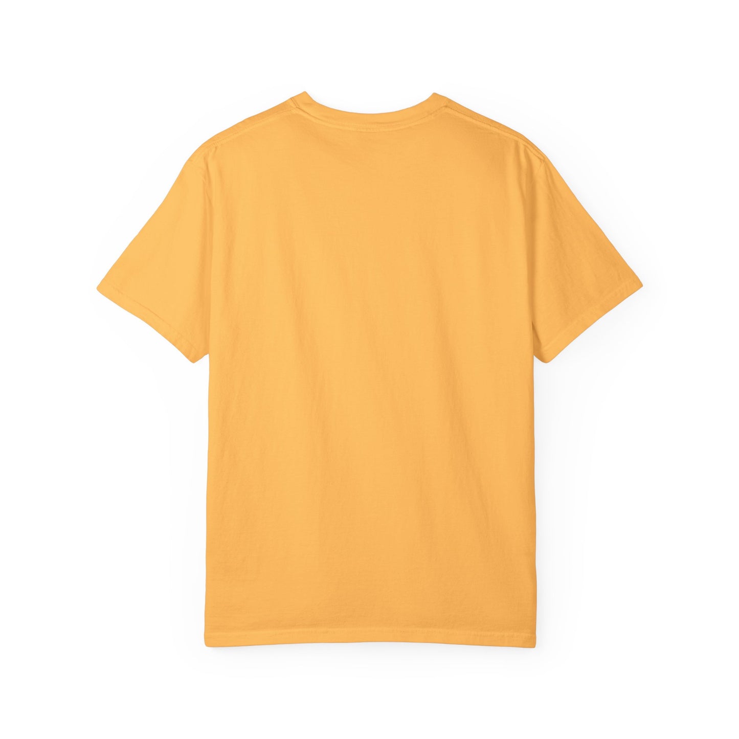 "HBCU Pride" Unisex Garment-Dyed T-shirt with