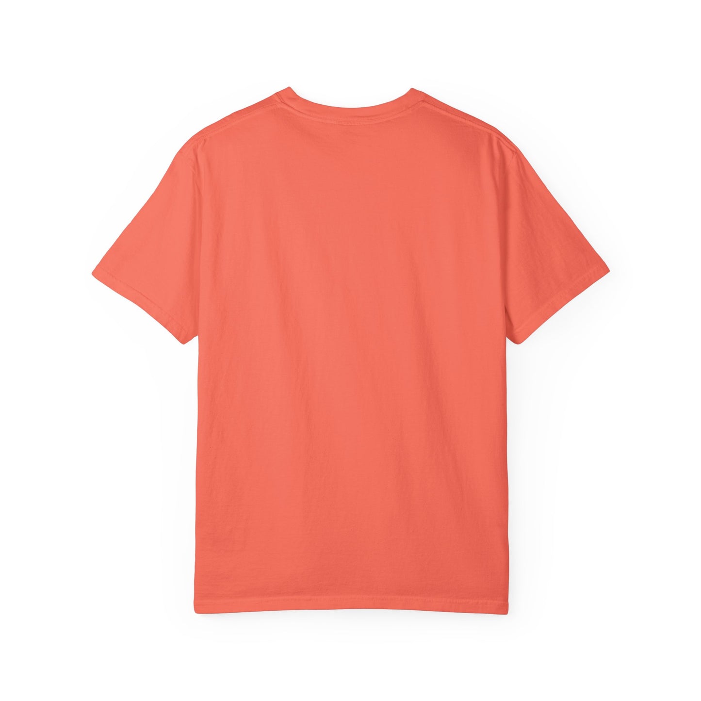 "HBCU Pride" Unisex Garment-Dyed T-shirt with